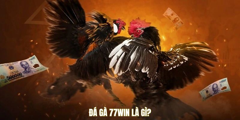 Đá Gà 77win - Cuộc Chơi Của Sự Tốc Độ Và Mưu Trí Đỉnh Cao 1 tong-quan-da-ga-77win