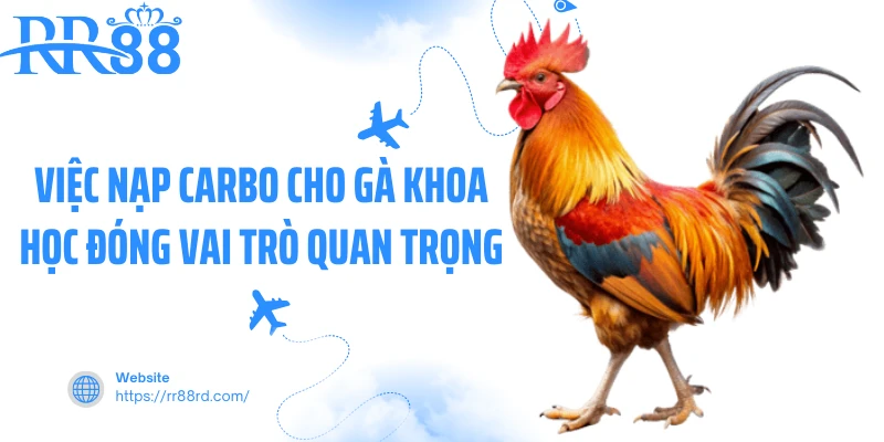 Cách Nạp Carbo Cho Gà Đá: Bí Quyết Tăng Lực Bền Bỉ Từ 23Win 1 Biểu đồ năng lượng của gà đá trước và sau khi được nạp Carbo đúng cách - Cách nạp Carbo cho gà
