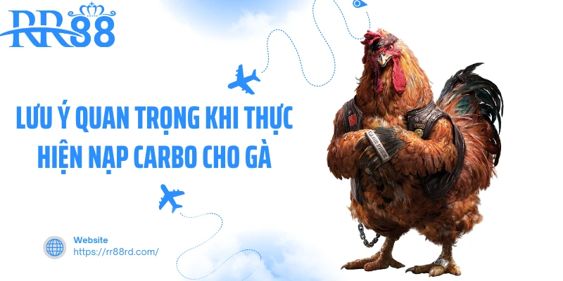 Cách Nạp Carbo Cho Gà Đá: Bí Quyết Tăng Lực Bền Bỉ Từ 23Win 3 Hình ảnh gà đá có biểu hiện mệt mỏi do nạp Carbo sai cách - Cách nạp Carbo cho gà